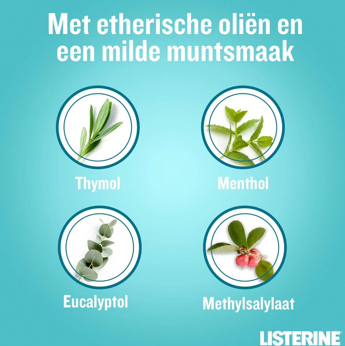 LISTERINE Cool Mint Milde Smaak, Mondspoeling Zonder Alcohol Met Etherische Oliën, Helpt Bacteriën Te Verwijderen En Zorgt Voor Een Langdurig Frisse Adem, 3 X 500 Ml - Afbeelding 6