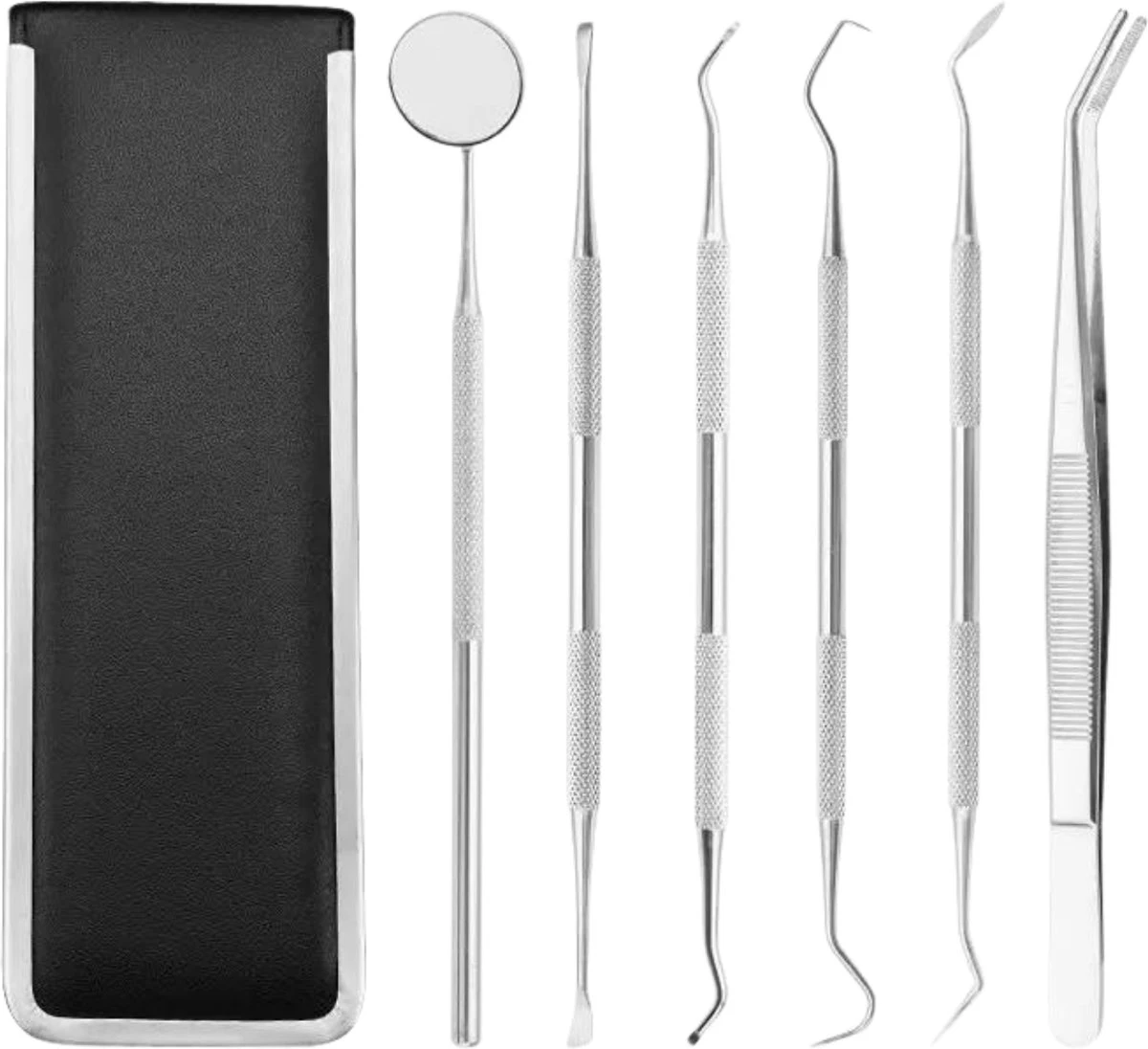 AdroitGoods 7 Delige RVS Tandarts Setje - Incl Haakje En Spiegel - Tandenstokers - Tandplak - Gebit Verzorging Setje