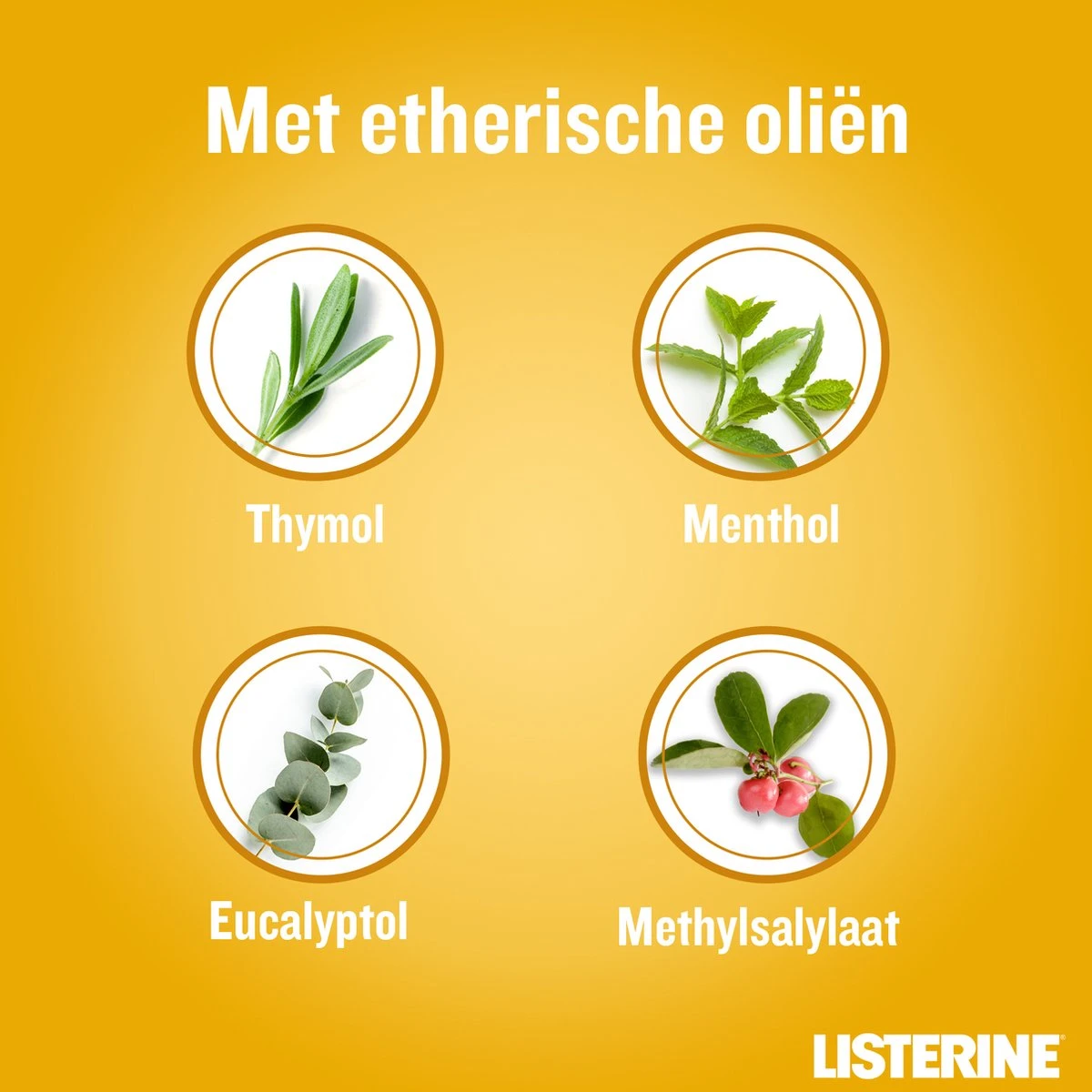 LISTERINE Fresh Ginger & Lime Mondwater, Met Gember- En Limoenextract, Mondspoeling Zonder Alcohol, Voor Een Frisse Adem, 3 X 500 Ml - Afbeelding 6