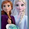 Oral B Oral-B Opzetborstels Kids Frozen 2 Stuks